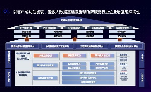 愛數(shù)林星亮 新服務行業(yè)非結(jié)構(gòu)化數(shù)據(jù)治理之道