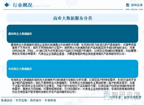2026年中國商業(yè)大數(shù)據(jù)服務(wù)行業(yè)市場(chǎng)運(yùn)行態(tài)勢(shì)分析與未來增長潛力展望